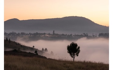 Туманное утро, округ Амбуситра, Мадагаскар