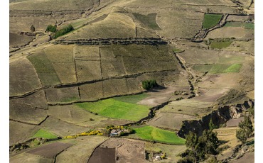 Поля на зеленых склонах,  Тигуа Чимбакучо у подножия вулкана Котопахи, Эквадор