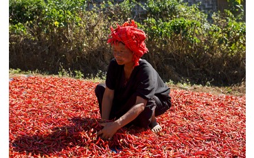 Женщина в красном тюрбане, озеро Инле, Мьянма