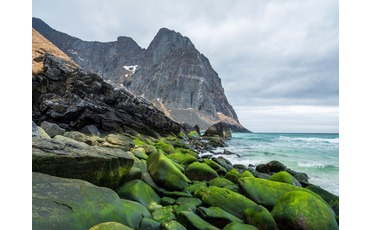 Зеленые камни пляжа Квалвика, Лофотенские острова, Норвегия