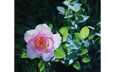 Натюрморт с  розой в саду