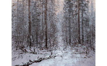 В тихом зимнем лесу